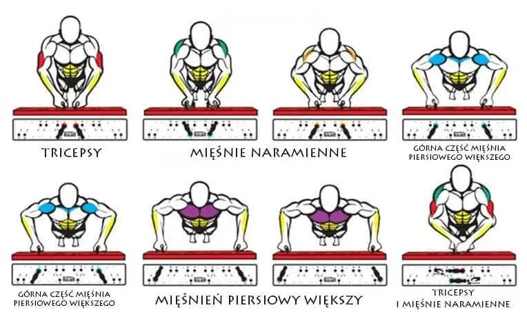 przykładowy trening klatki piersiowej