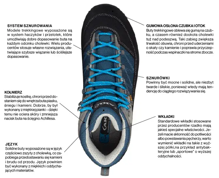 Anatomia buta trailowego, budowa podeszwy
