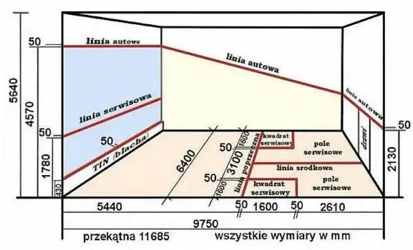 schemat kortu do squasha z opisem linii i ścian